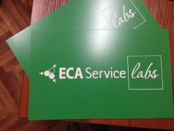       Eca Service