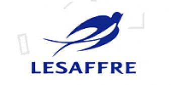 ���-���� Lessafre